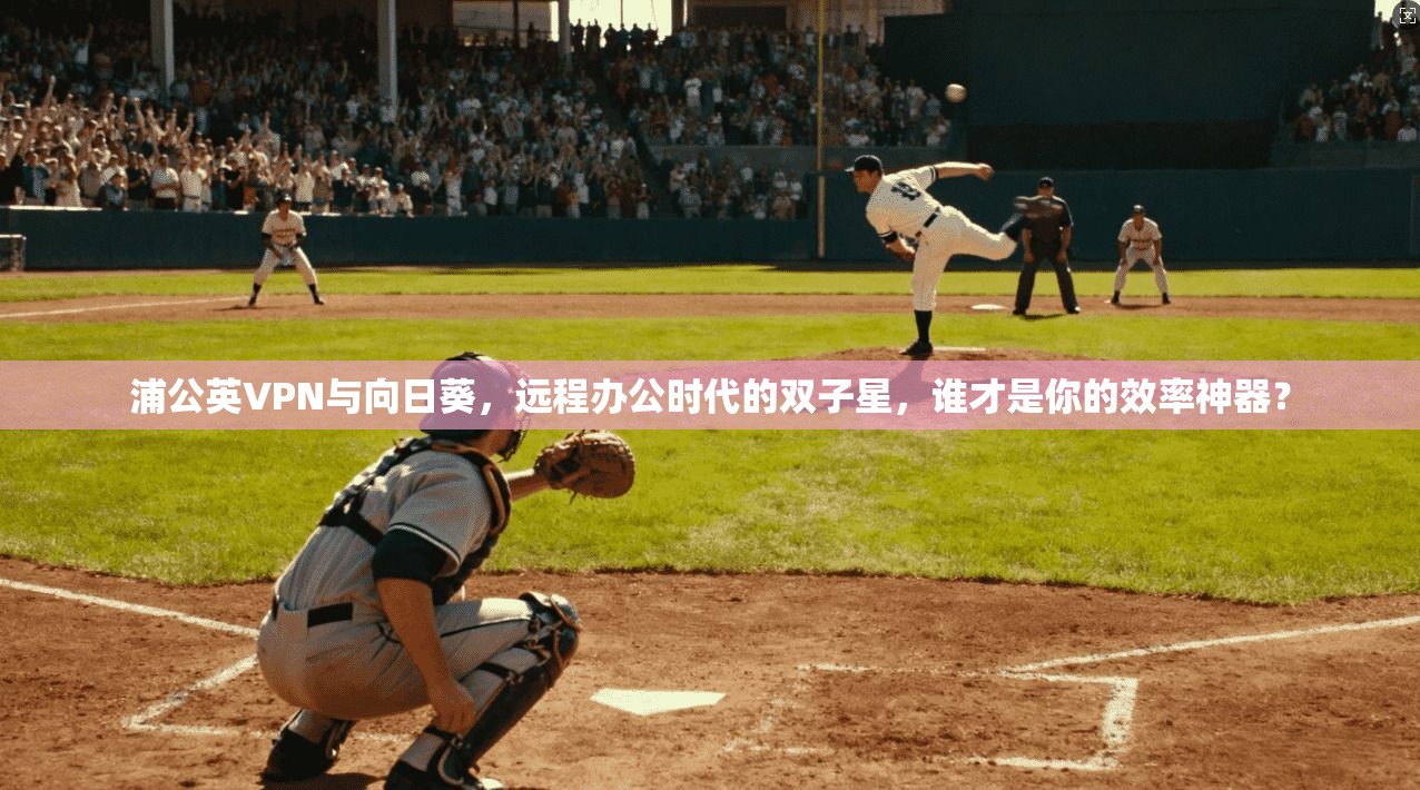 浦公英VPN与向日葵,远程办公时代的双子星,谁才是你的效率神器?
