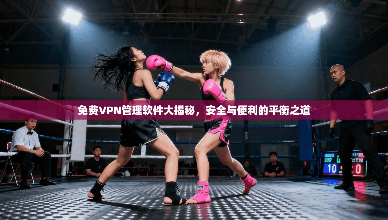 免费VPN管理软件大揭秘，安全与便利的平衡之道