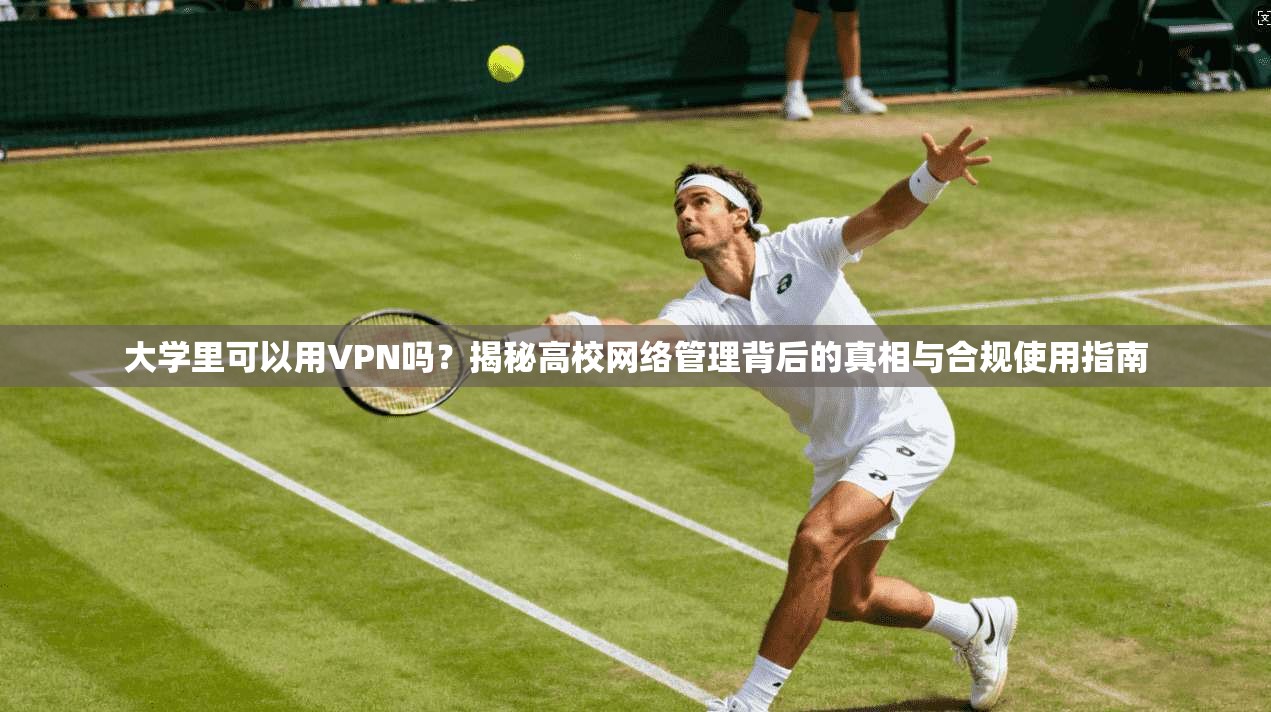 大学里可以用VPN吗?揭秘高校网络管理背后的真相与合规使用指南