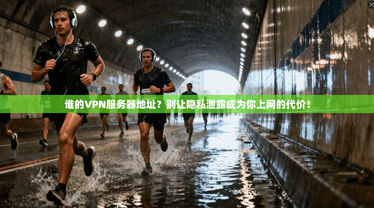 谁的VPN服务器地址?别让隐私泄露成为你上网的代价!