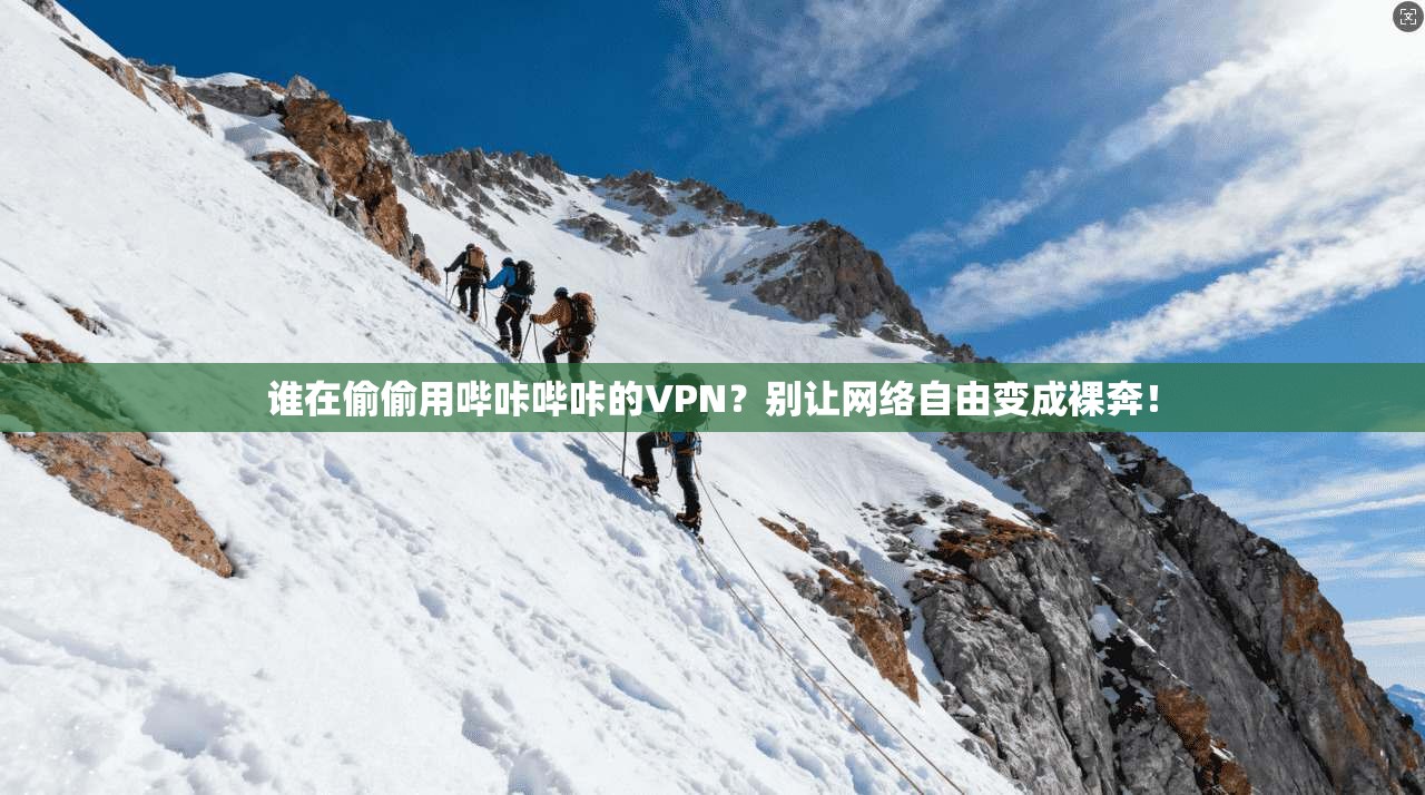 谁在偷偷用哔咔哔咔的VPN？别让网络自由变成裸奔！