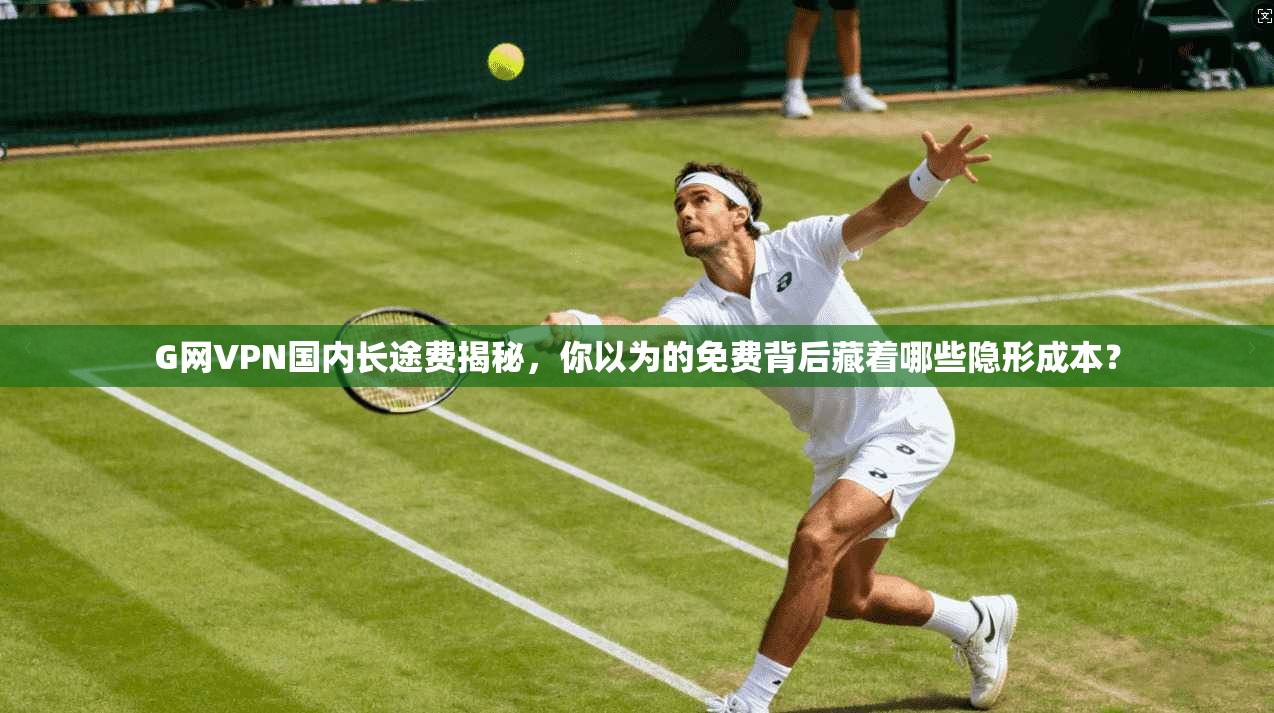 G网VPN国内长途费揭秘,你以为的免费背后藏着哪些隐形成本?