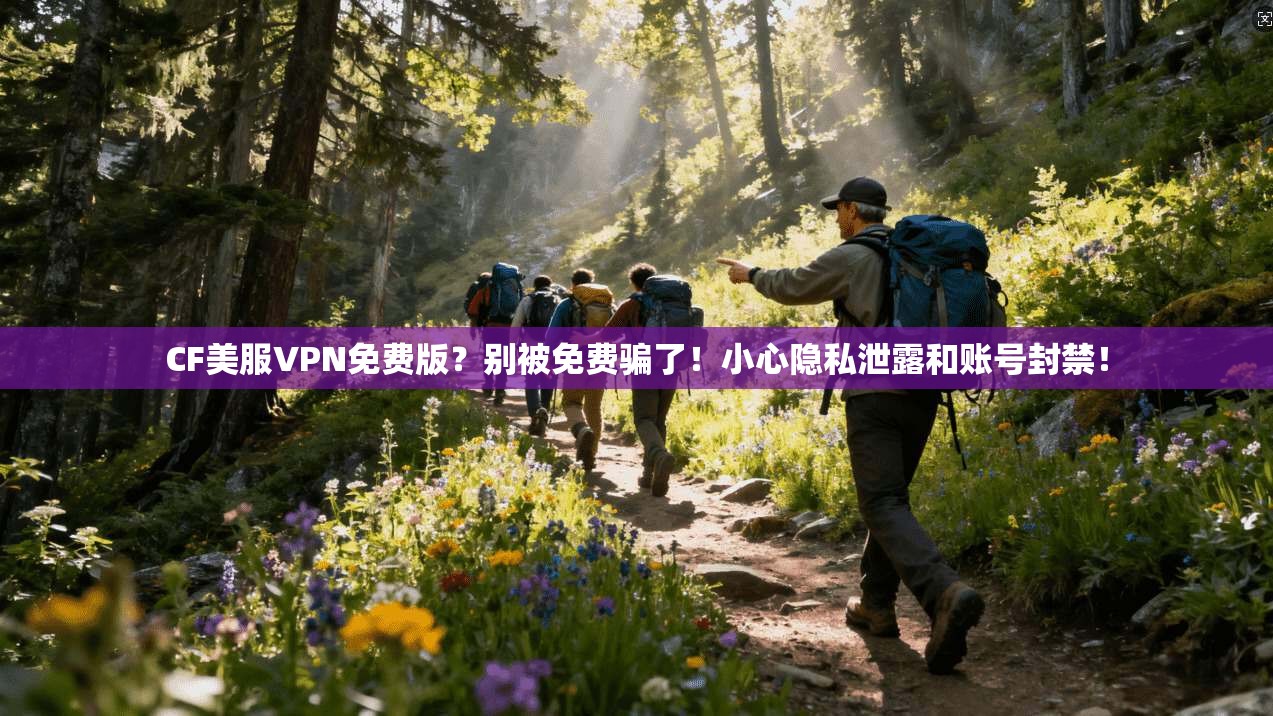 CF美服VPN免费版？别被免费骗了！小心隐私泄露和账号封禁！