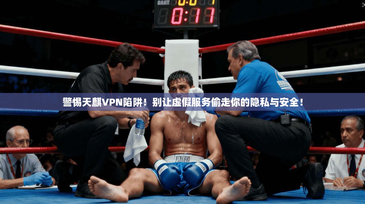 警惕天麒VPN陷阱！别让虚假服务偷走你的隐私与安全！