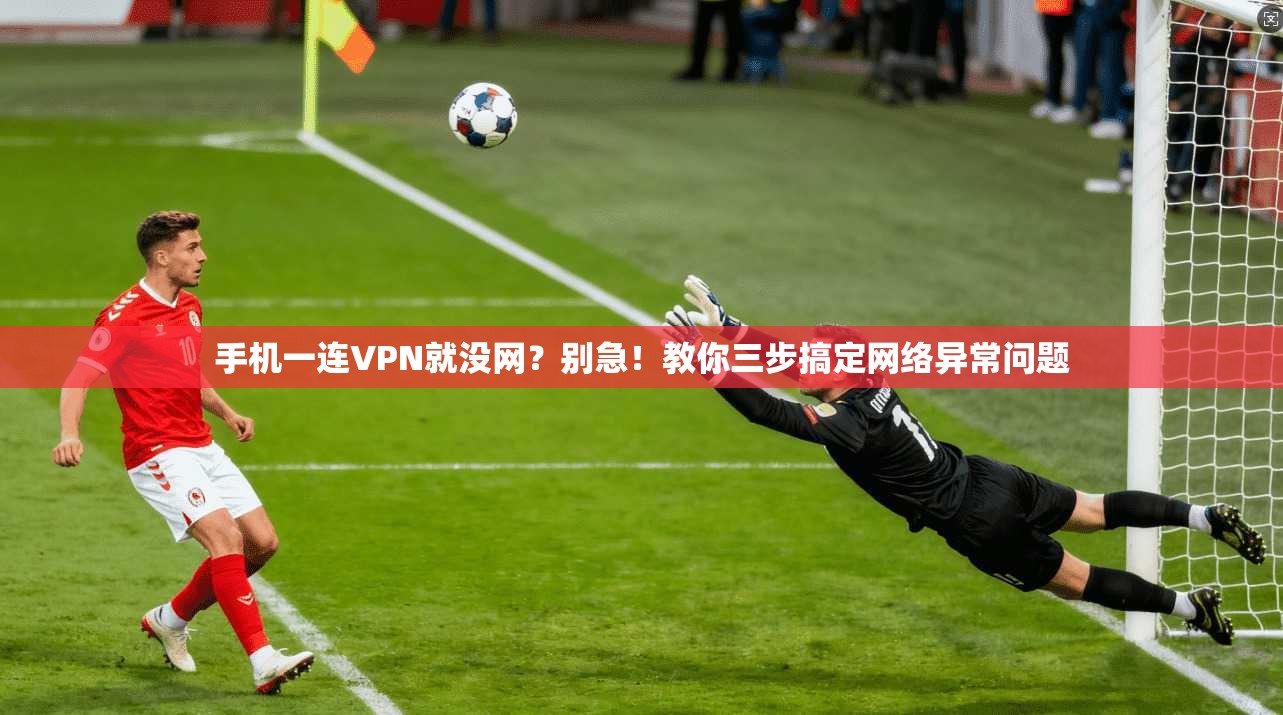 手机一连VPN就没网?别急!教你三步搞定网络异常问题