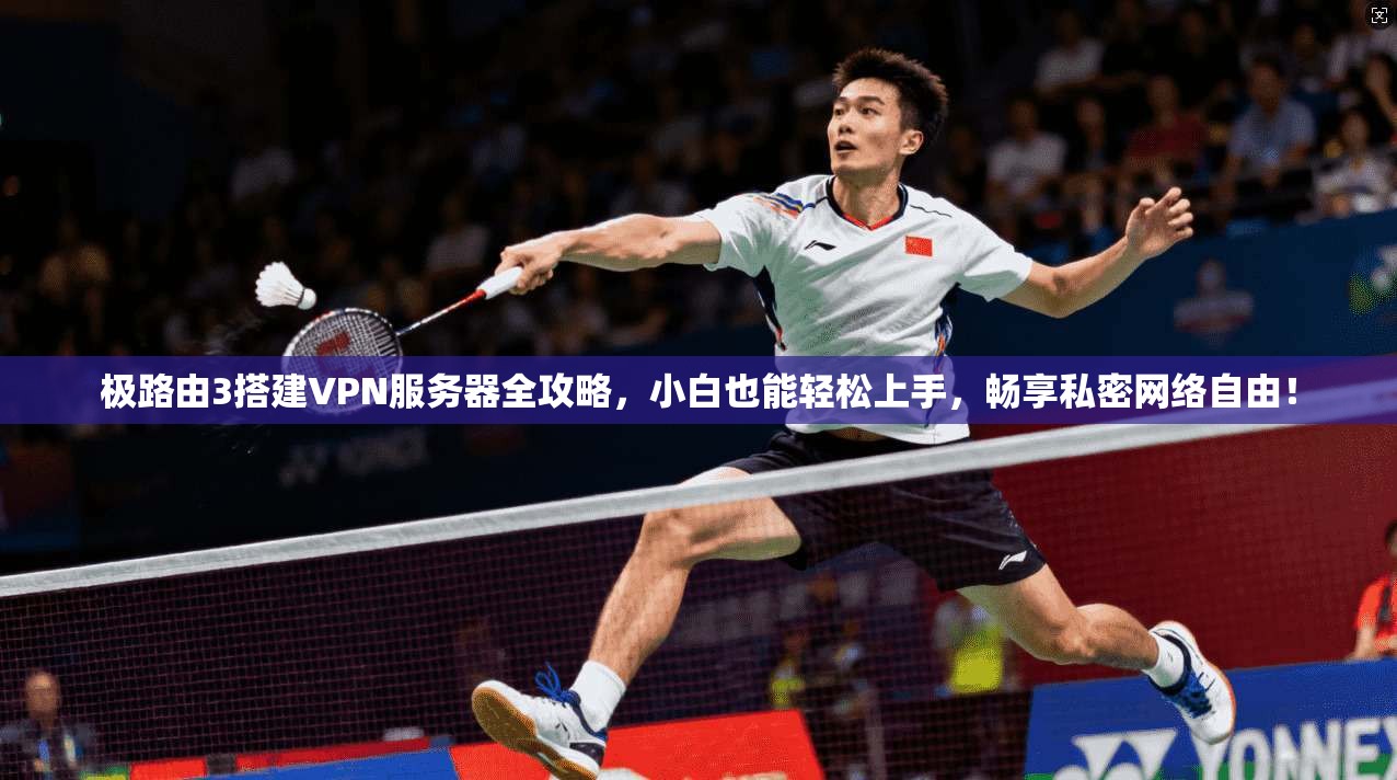 极路由3搭建VPN服务器全攻略，小白也能轻松上手，畅享私密网络自由！