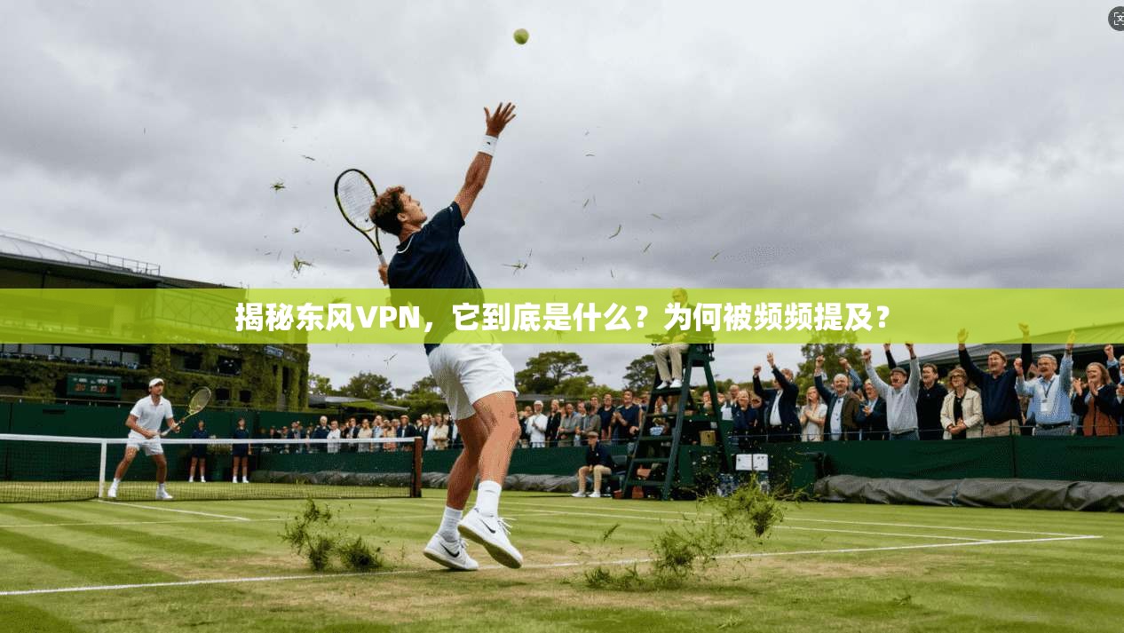 揭秘东风VPN，它到底是什么？为何被频频提及？