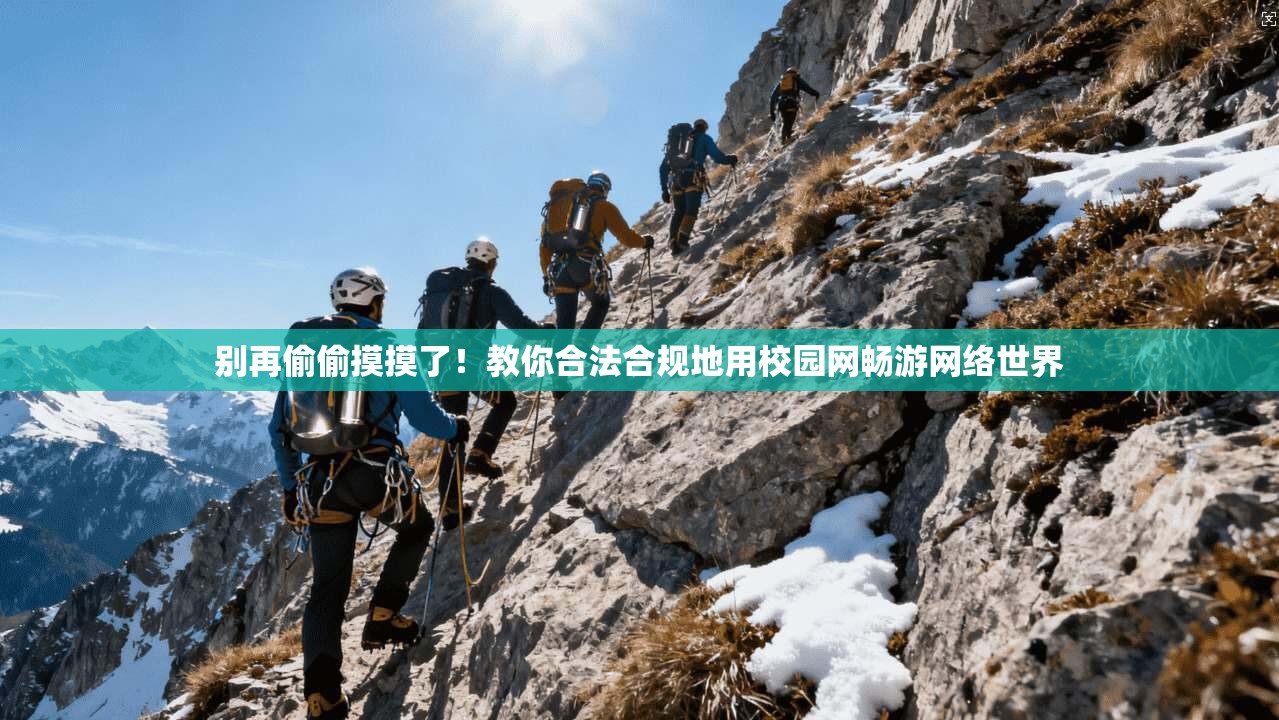 别再偷偷摸摸了!教你合法合规地用校园网畅游网络世界