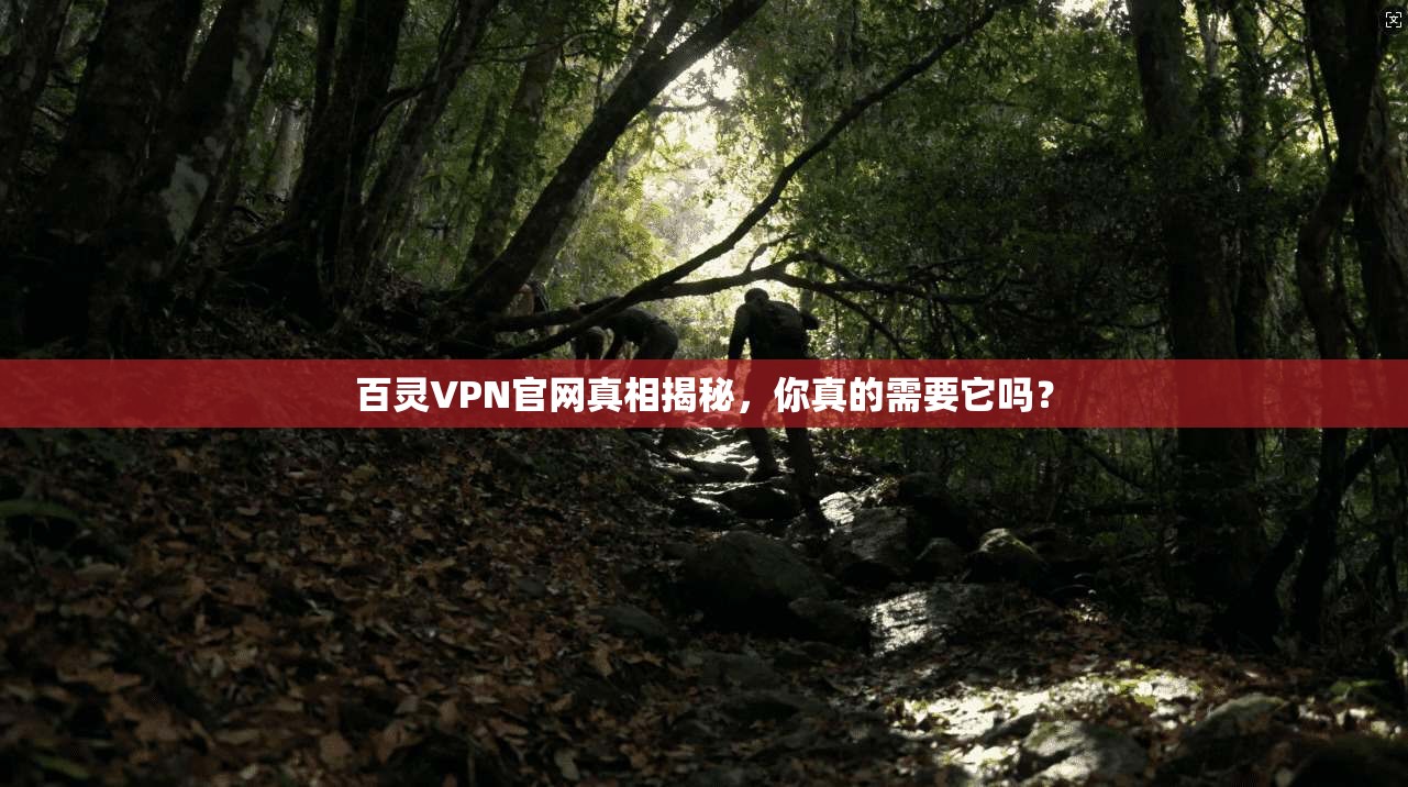 百灵VPN官网真相揭秘，你真的需要它吗？