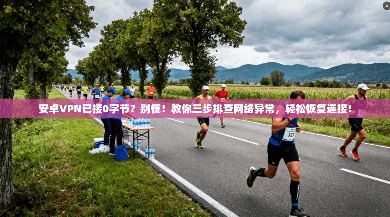 安卓VPN已接0字节？别慌！教你三步排查网络异常，轻松恢复连接！