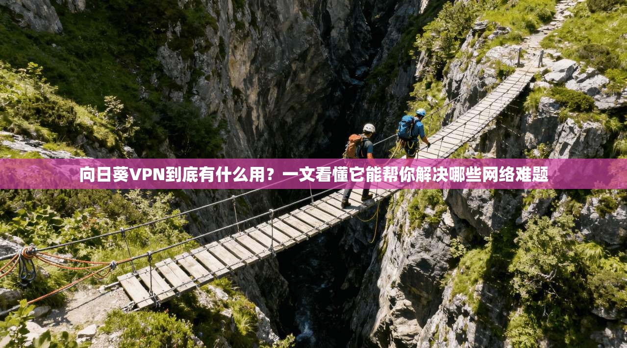 向日葵VPN到底有什么用？一文看懂它能帮你解决哪些网络难题