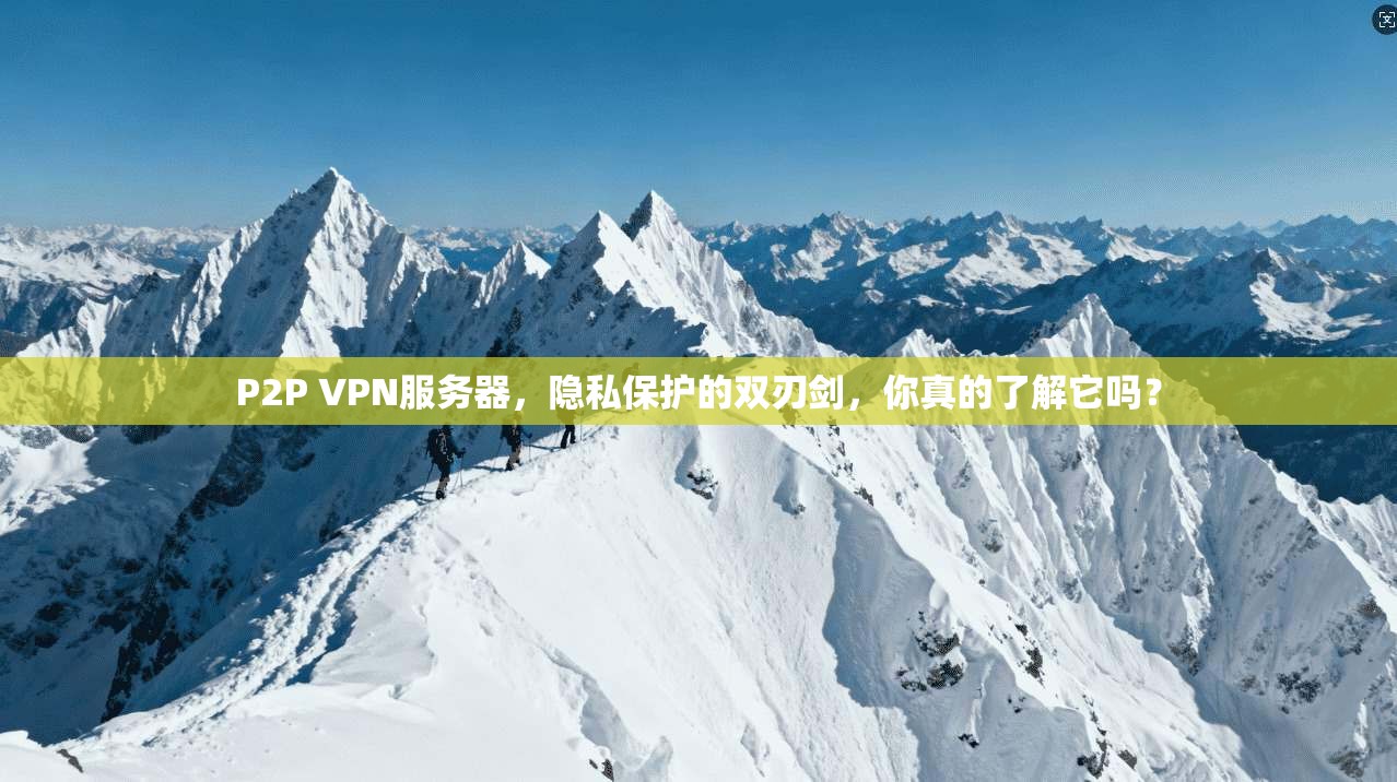 P2P VPN服务器，隐私保护的双刃剑，你真的了解它吗？