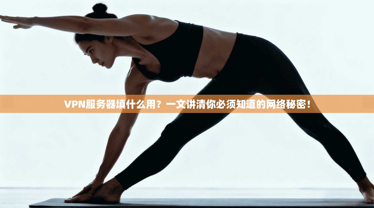 VPN服务器填什么用？一文讲清你必须知道的网络秘密！