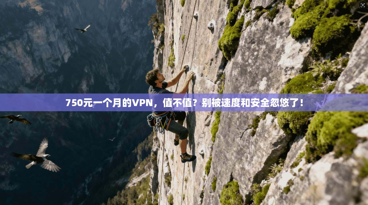 750元一个月的VPN，值不值？别被速度和安全忽悠了！