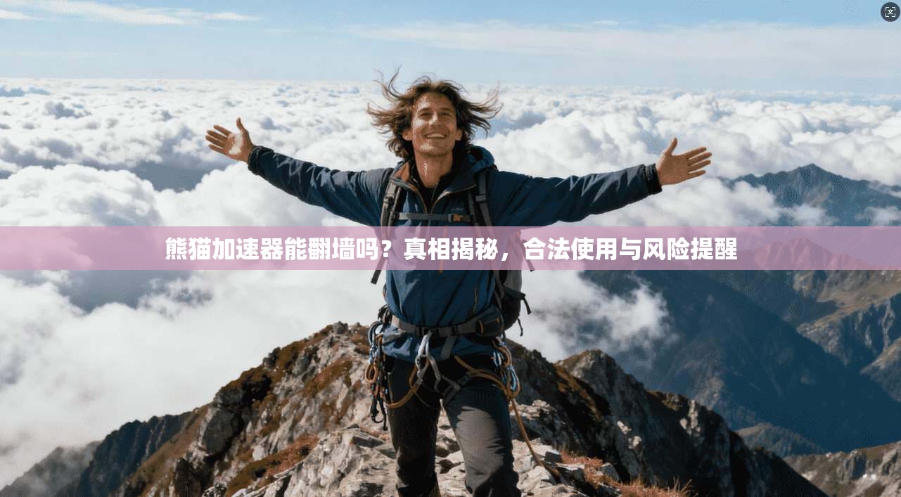 熊猫加速器能翻墙吗?真相揭秘,合法使用与风险提醒