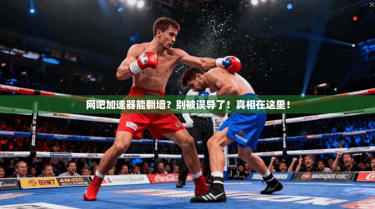 网吧加速器能翻墙？别被误导了！真相在这里！