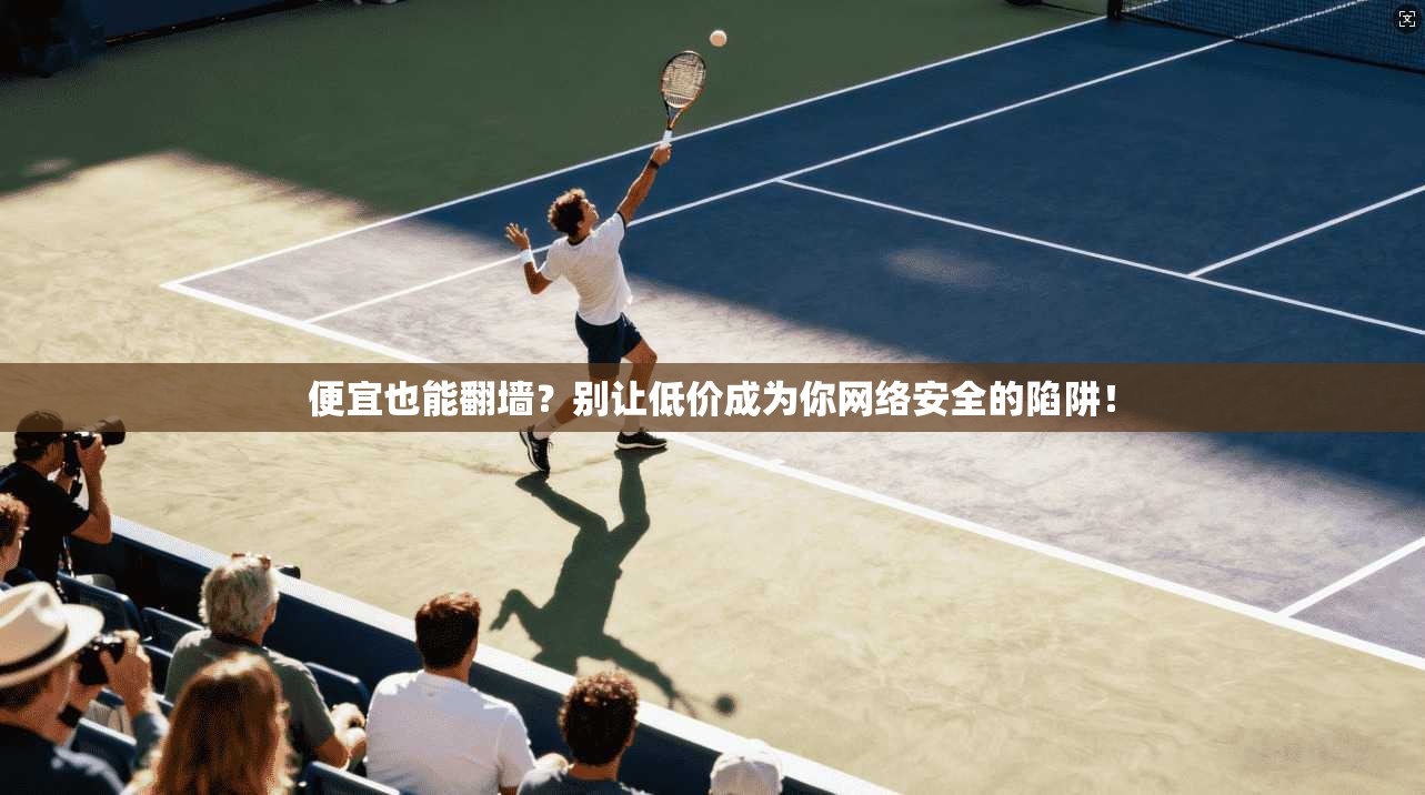 便宜也能翻墙？别让低价成为你网络安全的陷阱！