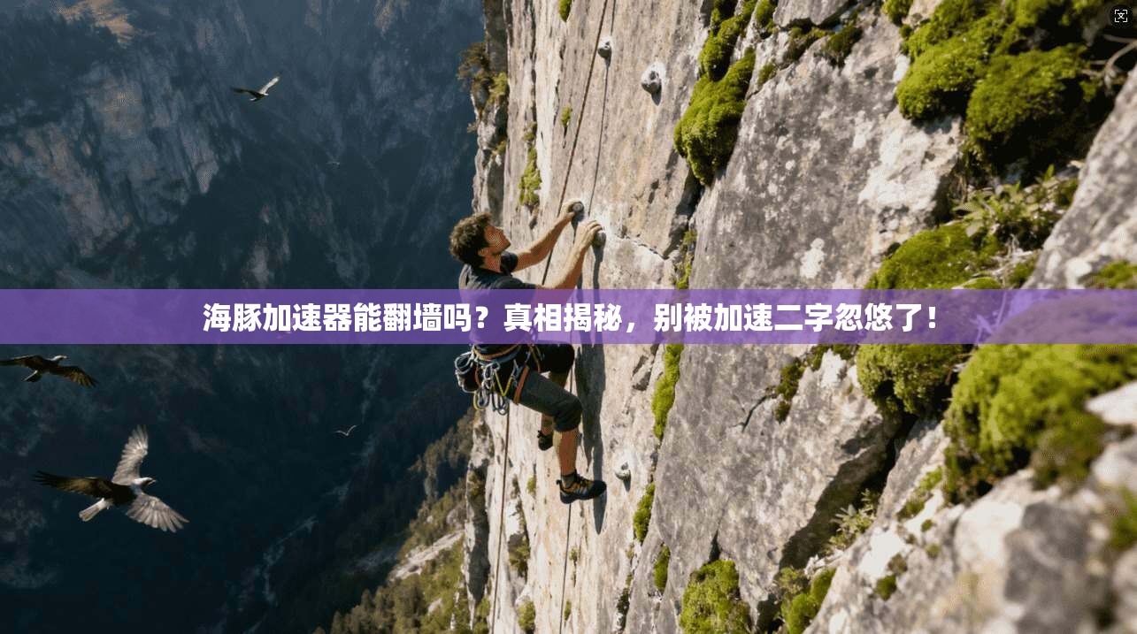 海豚加速器能翻墙吗？真相揭秘，别被加速二字忽悠了！