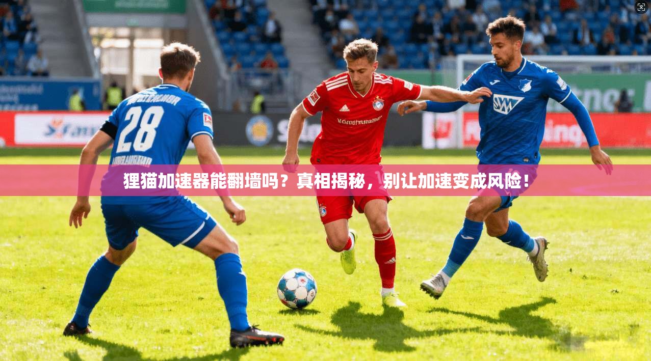 狸猫加速器能翻墙吗？真相揭秘，别让加速变成风险！