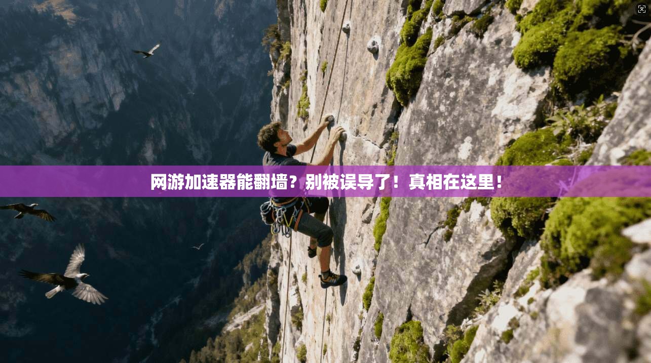 网游加速器能翻墙?别被误导了!真相在这里!
