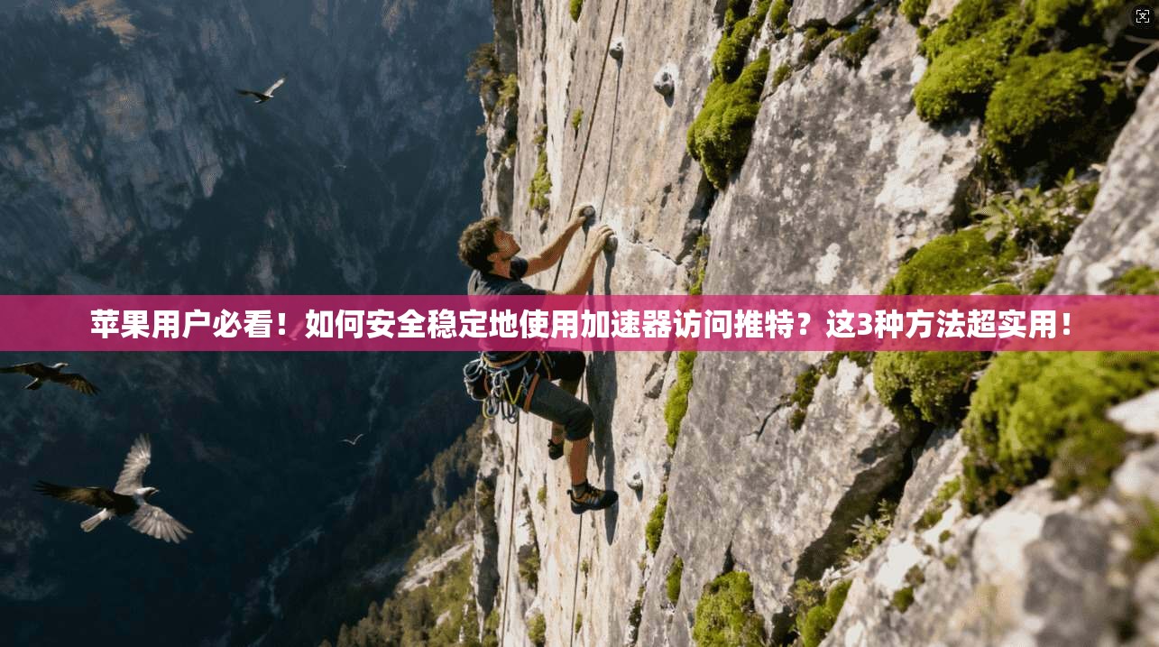 苹果用户必看!如何安全稳定地使用加速器访问推特?这3种方法超实用!