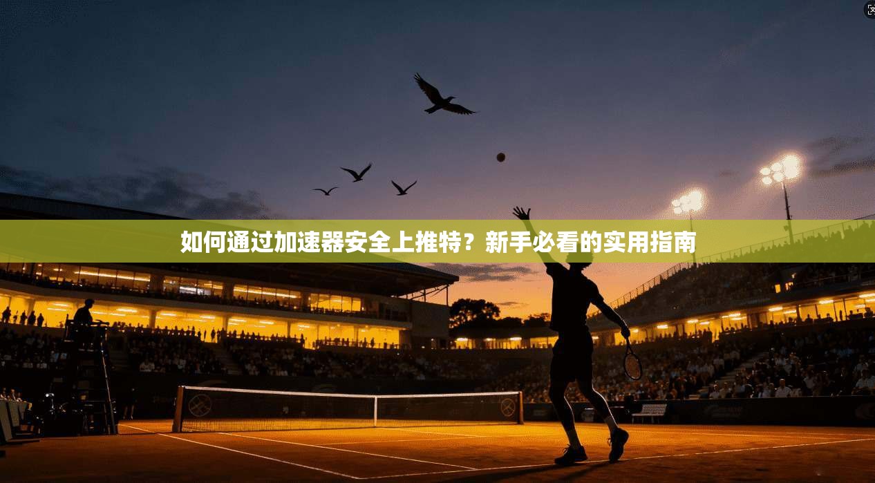 如何通过加速器安全上推特?新手必看的实用指南