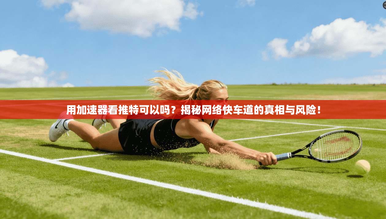 用加速器看推特可以吗？揭秘网络快车道的真相与风险！