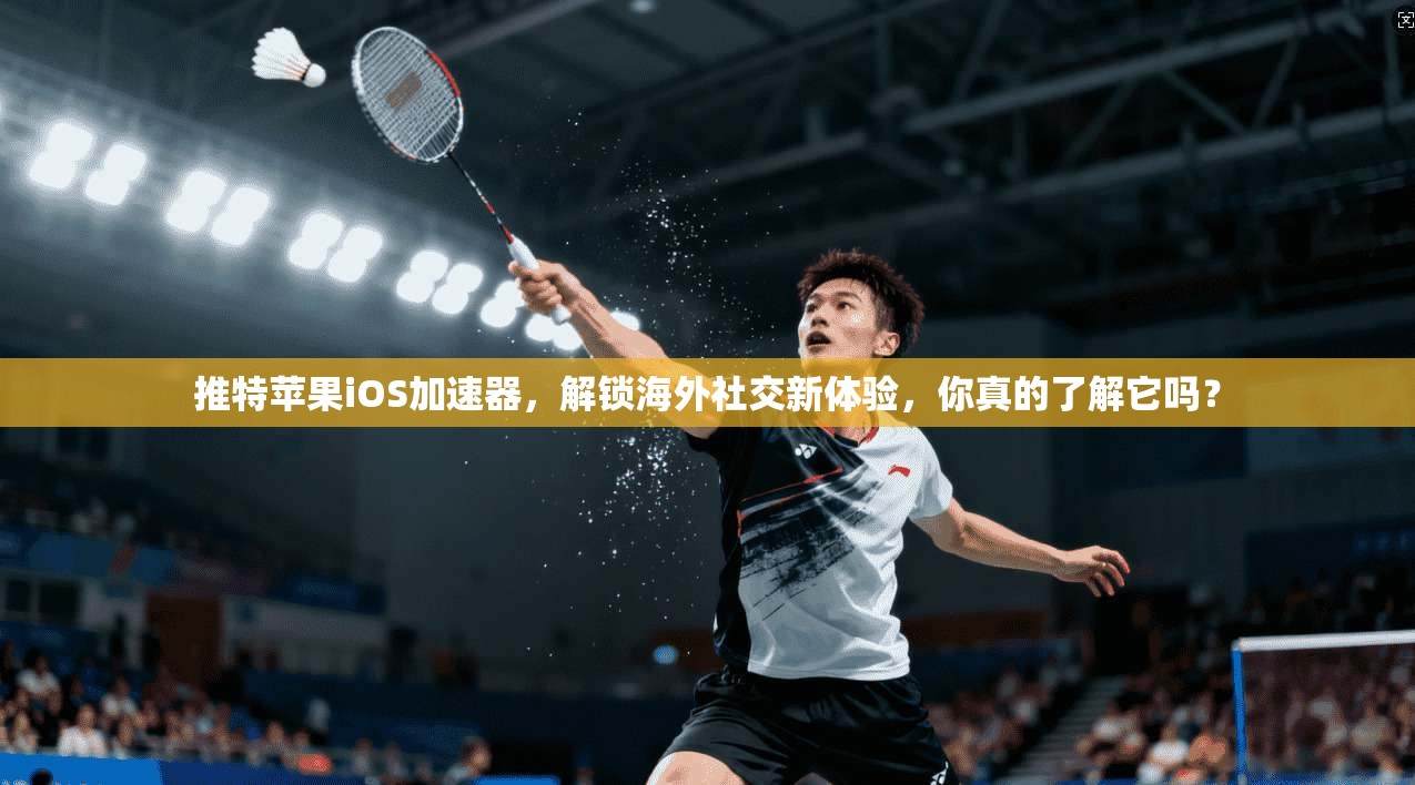 推特苹果iOS加速器，解锁海外社交新体验，你真的了解它吗？