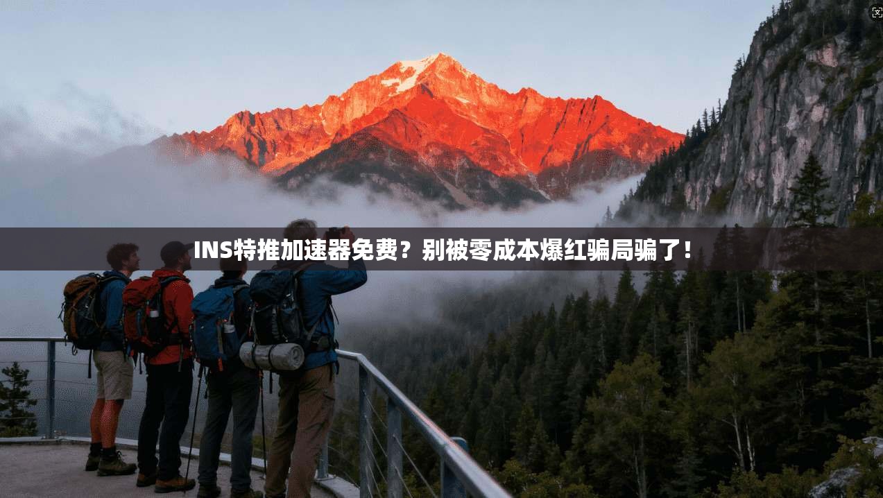 INS特推加速器免费？别被零成本爆红骗局骗了！